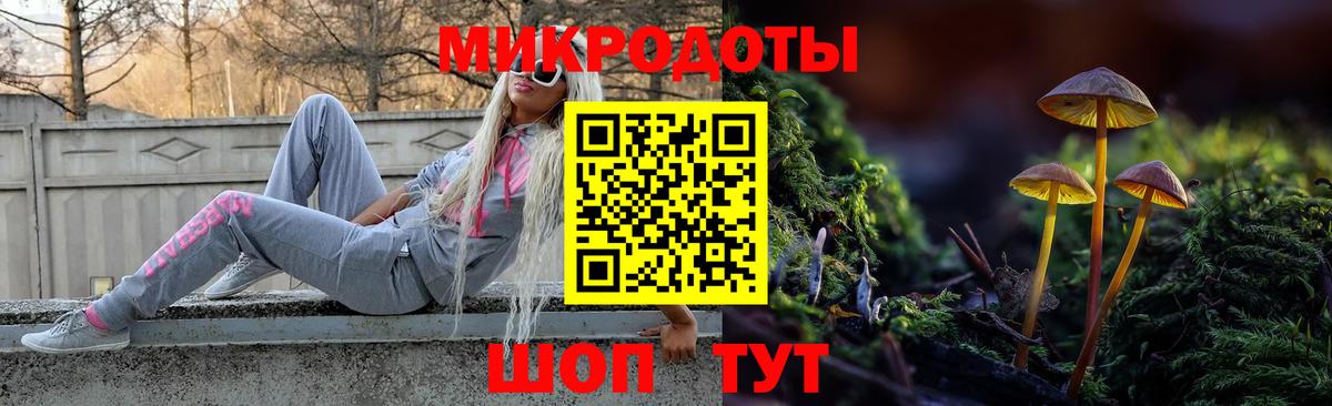 Холмск  Псилоцибиновые грибы прущие грибы  Вход с VPN 